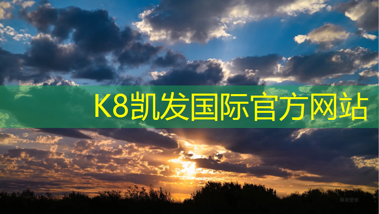 k8凯发官网入口：南平全塑型塑胶跑道价格