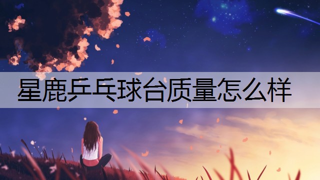 星鹿乒乓球台质量怎么样